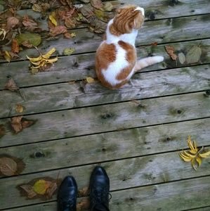 Meet your Posher, Sophie